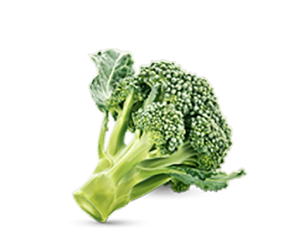 h3-product11 h3-product11