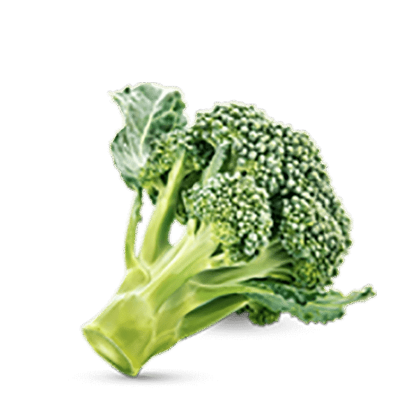 h3-product11 h3-product11