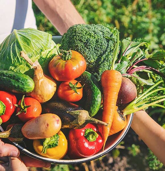 organic7 organic7
