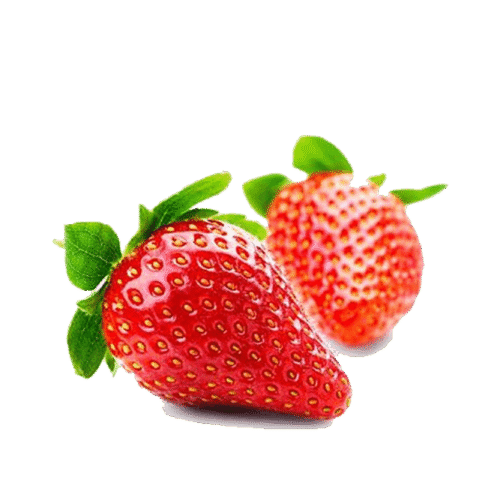 h3-product13 h3-product13