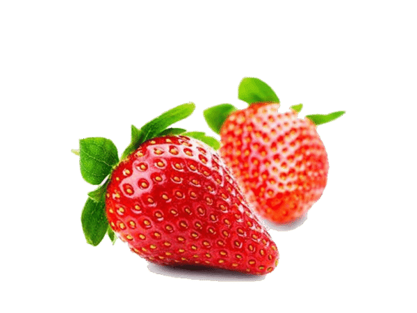 h3-product13 h3-product13